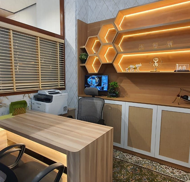 Luxury Home Renovation